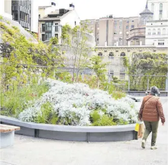  ?? Josema Molina ?? Uno de los parterres de la plaza Salamero, con especies florales y arbustivas.