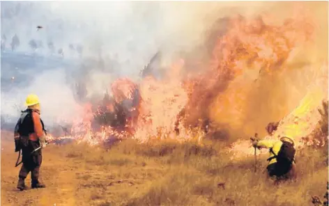  ??  ?? ► En su tercer día de combate, el incendio Los Aromos (Traiguén)ya había consumido 600 hectáreas.