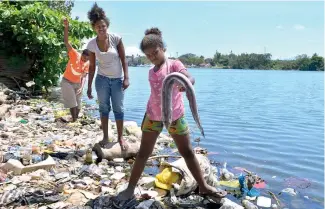  ?? EDWARD ROUSTAND ?? El derrame de la sustancia provocó la muerte de distintos peces.