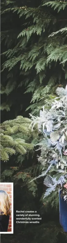  ??  ?? rachel creates a variety of stunning, wonderfull­y scented christmas wreaths