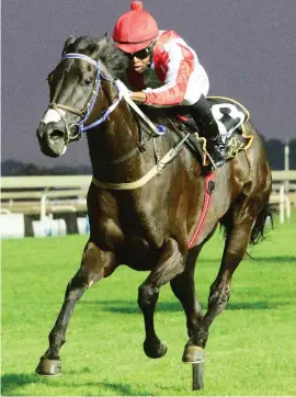  ??  ?? ANOTHER CHANCE. She's Foxy's last race was a disappoint­ment, but she deserves another chance in Race 6 at the Vaal tomorrow.