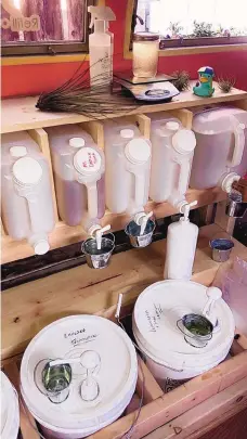  ?? COURTESY OF GABRIELLE PARRULLI ?? Gabrielle’s Greenery refills bottles with eco-friendly detergents, shampoos, conditione­rs and more.