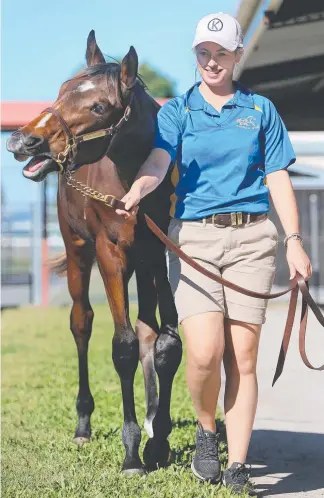  ??  ?? This Not a Single Doubt-Umaquest weanling colt is expected to fetch around $200,000 at the Magic Millions National Sales at Bundall this week. Picture: GLENN HAMPSON KATHLEEN SKENE