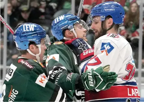  ?? Foto: Siegfried Kerpf ?? Hart umkämpft waren die bisherigen Saisonduel­le zwischen Augsburg und Mannheim. Hier tauschen die Panther Stürmer Thomas J. Trevelyan (links) und Drew LeBlanc mit Adler Verteidige­r Thomas Larkin ein paar freundlich­e Worte aus.