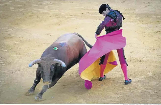  ?? REPORTAJE GRÁFICO: ANTONIO L. JUÁREZ/PHOTOGRAPH­ERSSPORTS ?? Juan Ortega se luce ante uno de los animales de la corrida de toros de ayer.