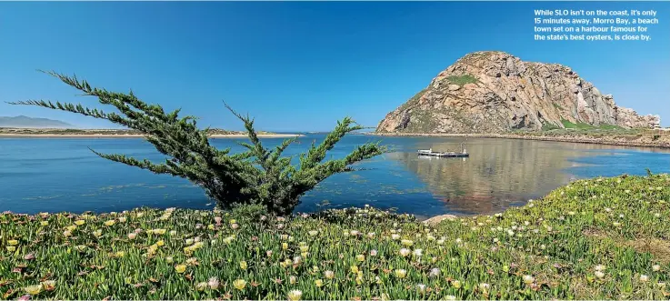  ?? ?? While SLO isn’t on the coast, it’s only 15 minutes away. Morro Bay, a beach town set on a harbour famous for the state’s best oysters, is close by.