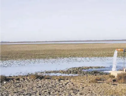  ?? CÓRDOBA ?? Imagen de la laguna de Santa Olalla seca por el rigor del clima y las extraccion­es de los pozos ilegales en Doñana.