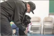  ?? ERIC BONZAR — THE MORNING JOURNAL ?? Rocco Benedetto Rubino, of Amherst, gives praises to his 4-month-old, Standard Schnauzer, Maggie Rose as the pair works on the sit command during Chip Ingersoll’s basic obedience class at Alpha-Dog Pet Center, Nov. 28.