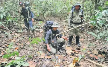  ??  ?? Forest rangers discoverin­g traps set up by poachers to capture bears and tigers in the Leuser ecosystem rainforest, located mostly within the province of Aceh on the northern tip of the island of Sumatra. — AFP photo