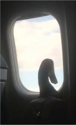  ??  ?? Daniel the emotional support duck looks out the window during his flight.