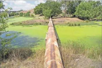  ??  ?? Sold up the river: Professor Anthony Turton says the state is the biggest polluter of water, through its failure to ensure sewerage treatment works are functionin­g