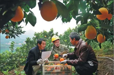  ?? PROVIDED TO CHINA DAILY ?? A State Grid employee talks to farmers in Zigui county about orange sales in March last year. Zigui is the company’s designated poverty alleviatio­n county.