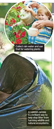  ?? ?? Collect rain water and use that for watering plants