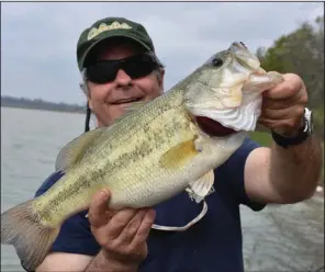  ?? (Photo courtesy of Ray Tucker) ?? The pre-spawn period is the best time to catch largemouth bass in prime condition, such as this one the author caught last March in Jefferson County on a chatter bait.