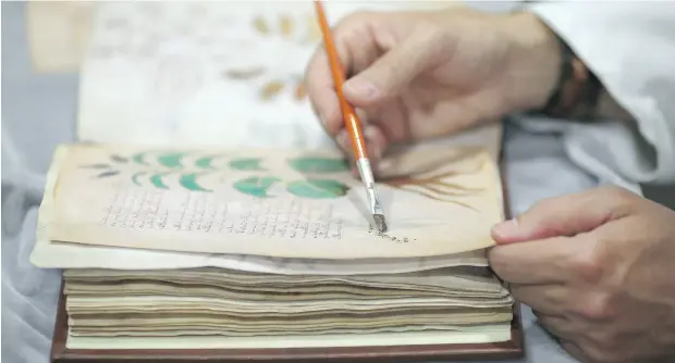  ?? CESAR MANSO / AFP / GETTY IMAGES ?? Luis Miguel of Spanish publishing outfit Siloe works on copying the Voynich manuscript. Its contents have baffled experts for generation­s.