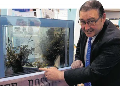  ??  ?? FISHY BUSINESS: Peterhead skipper Jimmy Buchan identifyin­g a baby turbot at the seafood trade show yesterday