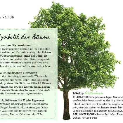 Das Baumhoroskop - PressReader