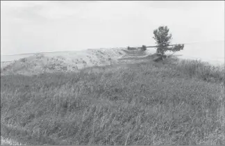  ?? Photo submitted by Dale Leffingwel­l ?? “Spite Ditch” near Milk River was built to divert water during a U.S.-Canada squabble over water in the early part of the 1900s.