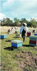  ??  ?? A la izquierda, un vecino segando un prado y arriba, una investigac­ión que se está llevando a cabo con el sector apícola de la zona