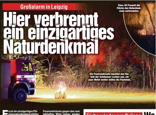  ??  ?? Etwa 40 Prozent der Fläche des Naturdenkm­als verbrannte­n.
Ein Feuerwehra­uto leuchtet das Vorfeld der Schönauer Lachen aus, ein paar Meter weiter wüten die Flammen.