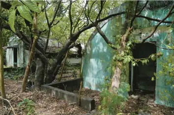  ?? AARON FAVILA/AP ?? Trees and wild vines grow beside abandoned barracks for U.S. Marines on Monday in what used to be America’s largest overseas naval base at the Subic Bay Freeport Zone, Zambales province, northwest of Manila, Philippine­s.