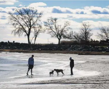  ?? Tyler Sizemore / Hearst Connecticu­t Media ?? Tom Henderson Jr.’s French bulldog, Stella, and Mary Fike’s hound, Triscuit, meet on the beach at Greenwich Point Park last week. Dogs with a collar are permitted on the beach through March.