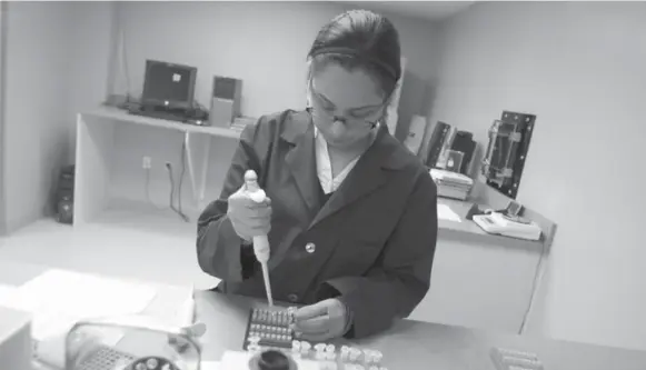  ?? GAMMA-DYNACARE ?? Jennifer Aguirre, a DNA technologi­st at Gamma-Dynacare Medical Laboratori­es, prepares DNA samples for loading onto a genetic analyzer to identify remains from the Lac-Mégantic explosion.