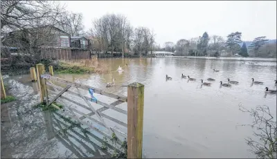  ??  ?? Ducks paddle across a flooded field
Ref: 05-0321M