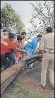  ?? HT PHOTOS ?? An electricit­y pole uprooted during the storm and (right) police officials, along with locals, remove a tree that fell in Mathura, Uttar Pradesh, on Sunday.