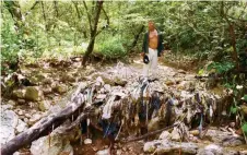  ??  ?? En el río Sabinalito llega la basura de la capital y las descargas de los fraccionam­ientos Real del Bosque y Homex.