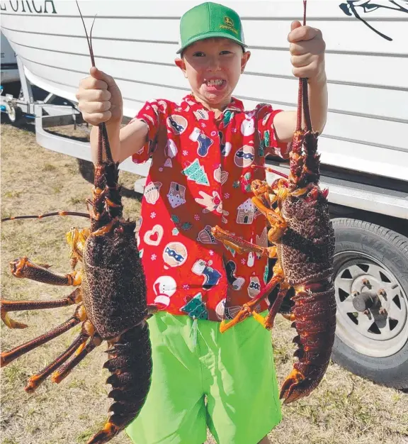  ?? ?? Ely Davidson was particular­ly pleased with these two fine crays caught from Schouten Island of the East Coast recently. Picture: Supplied