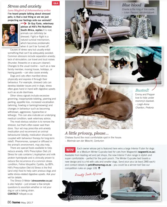  ??  ?? CONTACT (stressomet­er.co.za) pets@homemag.co.za (wagworld.co.za).