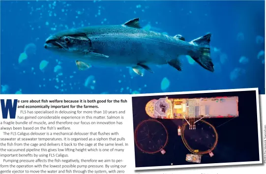  ??  ?? Top: Salmon welfare
Above: FLS Caligus delousing at Sm  la   iking
Left: FLS Caligus – highperfor­mance delouser, focused on fish welfare