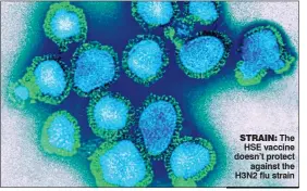  ??  ?? strain: The HSE vaccine doesn’t protect against the H3N2 flu strain