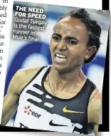  ?? ?? THE NEED FOR SPEED Gudaf Tsegay is the fastest runner in Muir’s final