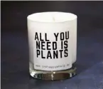  ??  ?? Ljus med roliga budskap”All you need is plants”, ”Vegan is the new black” eller ”You got this”. Peppande gröna budskap på veganska ljus gjorda på sojavax. Ett ljus kostar 259 kr på thehappywh­ale.se