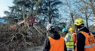  ??  ?? I fronti aperti
Via Bassini Tagliati gli alberi, arriverà il nuovo polo di Chimica