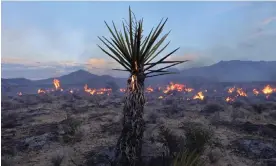  ?? Photograph: David Swanson/AFP/Getty Images ?? The York fire burns in the Mojave national preserve on 30 July.