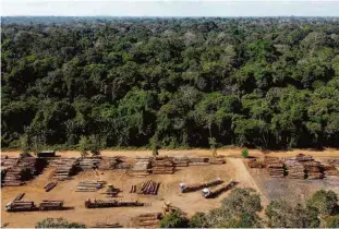  ?? Leonardo Benassatto/reuters ?? Pilhas de madeira ilegal extraída da floresta em Rondônia; área de desmatamen­to foi a maior nos últimos 5 anos e pode prejudicar negociaçõe­s