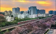  ?? PROVIDED TO CHINA DAILY ?? With a widespread urban rail network, Beijing offers convenient transport services.