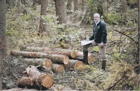  ?? 154501B ?? Site manager Mark Feather from the Woodland Trust pictured at Raincliffe Gate. Picture by Richard Ponter 154501b