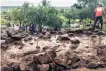  ??  ?? ABOVE: The cyclone powered into the Mozambican city of Beira, leaving destructio­n in its wake and thousands, who were isolated in the flooded region, in need of relief. | EPA
