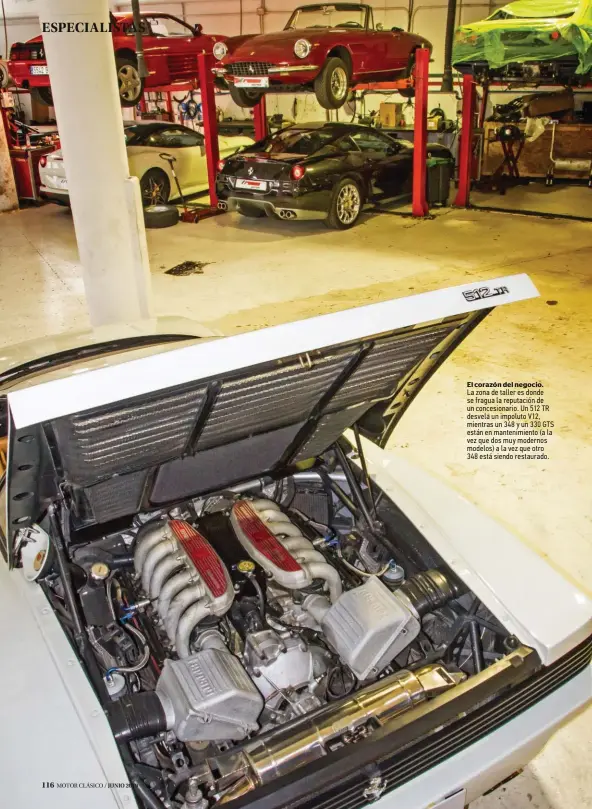  ??  ?? El corazón del negocio. La zona de taller es donde se fragua la reputación de un concesiona­rio. Un 512 TR desvela un impoluto V12, mientras un 348 y un 330 GTS están en mantenimie­nto (a la vez que dos muy modernos modelos) a la vez que otro 348 está siendo restaurado.