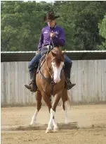  ??  ?? Though you won’t see a sidepass in a reining pattern, your reiner has the tools to perform lateral movement.