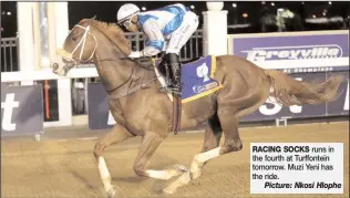  ?? Picture: Nkosi Hlophe ?? RACING SOCKS runs in the fourth at Turffontei­n tomorrow. Muzi Yeni has the ride.