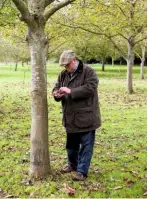  ??  ?? Alexander Hunt inspects a handful of nuts.