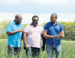  ??  ?? Permanent Secretary Dermon Spence (left) in dialogue with Bernard Lodge onion farmer Terry Allijohn (centre) and Agricultur­e Minister Floyd Green.