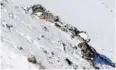  ?? MOHAMMED KHADEMOSHE­IKH/ MIZAN NEWS AGENCY/AFP ?? The wreckage of the plane that crashed near a mountain peak in Iran’s Zagros mountain range is seen on Tuesday.