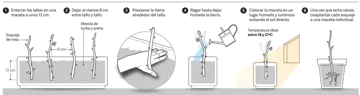  ?? Fuente GOBIERNO DE LA CIUDAD CLARIN ??