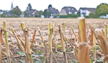  ?? FOTO: TINTER ?? Wo aktuell noch Acker ist, könnte in ein paar Jahren das Zuhause mehrerer Generation­en sein. Die Birkhofstr­aße ist der Standort, an dem das Wohnprojek­t realisiert werden soll.